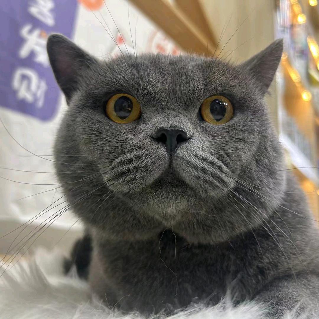 小腰精💋