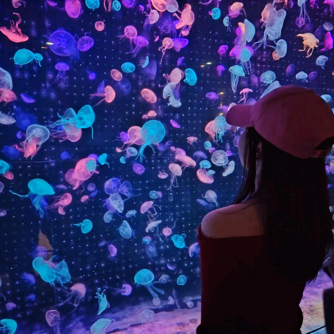 会发光的水母