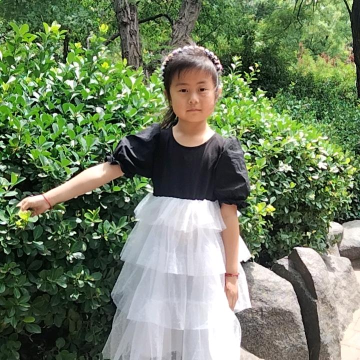 月光下行走的猫🐱