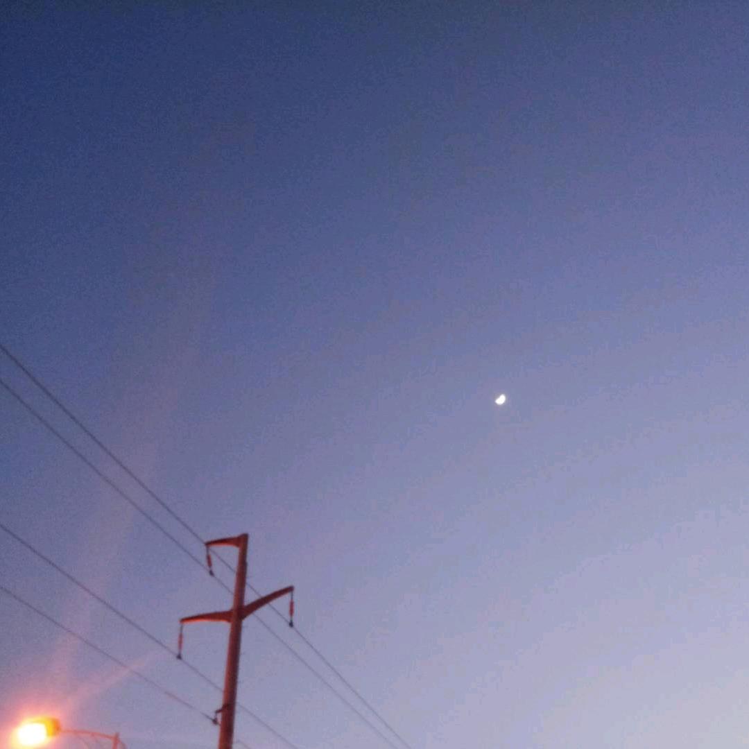 每日英语单词打卡站