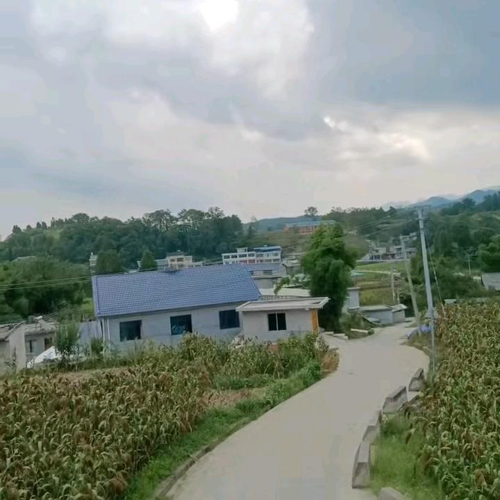 刘悦🎤