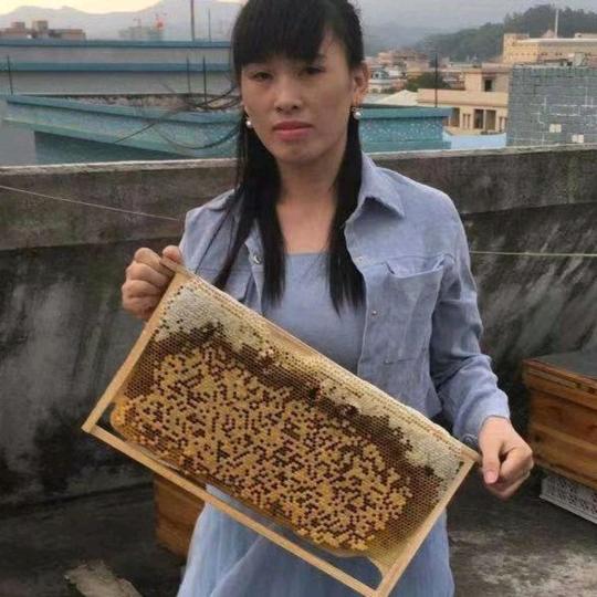 小欧土蜂蜜