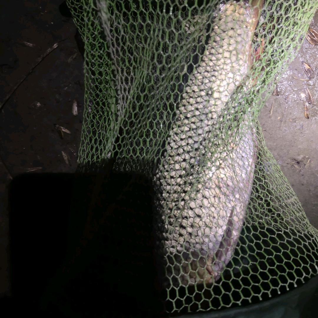 爱生活，爱钓鱼