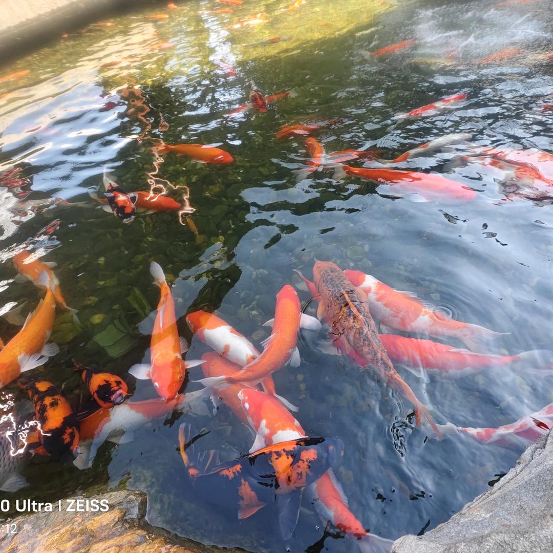 ℒᎭℯ⃝一蔡💞