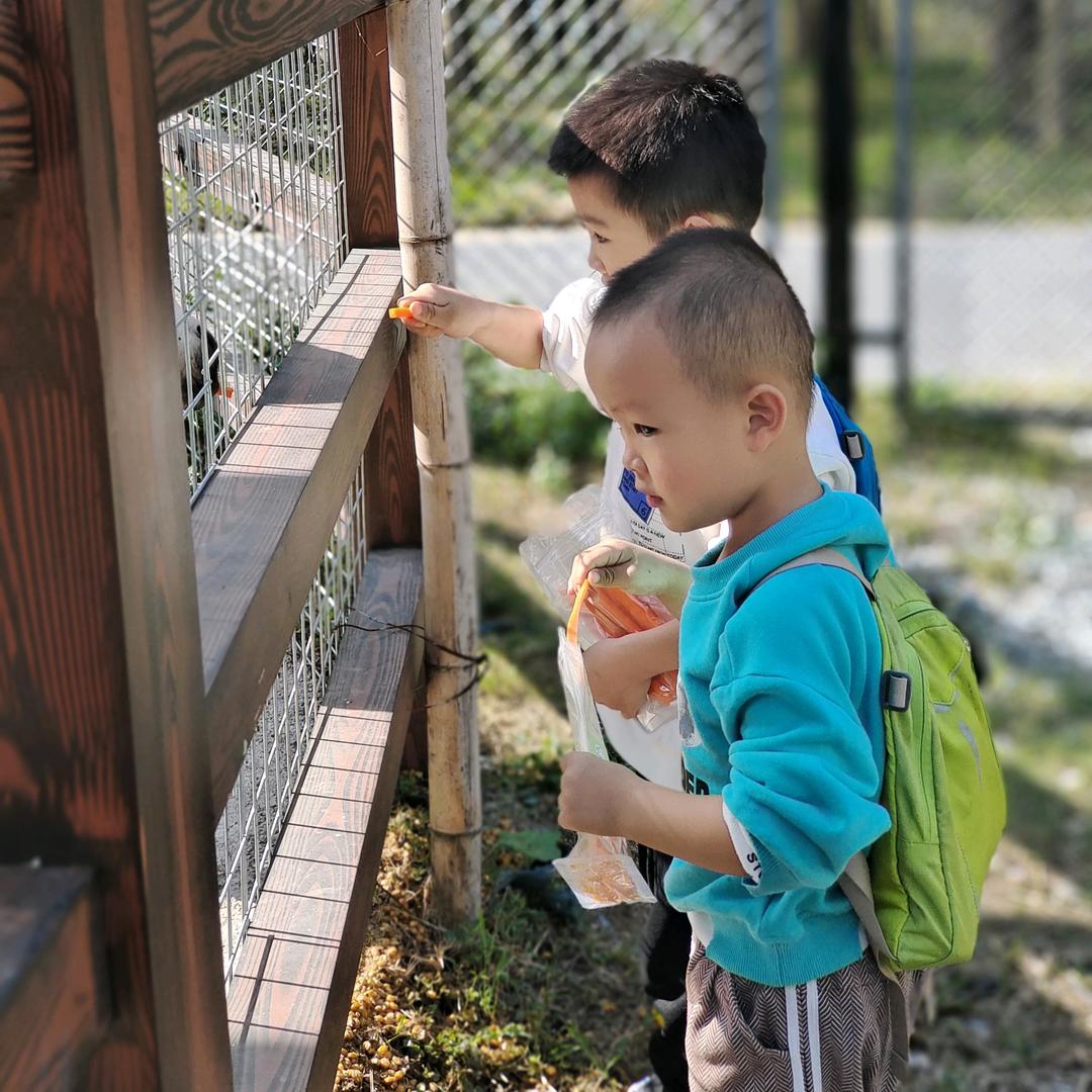 皮球baby的家🏠