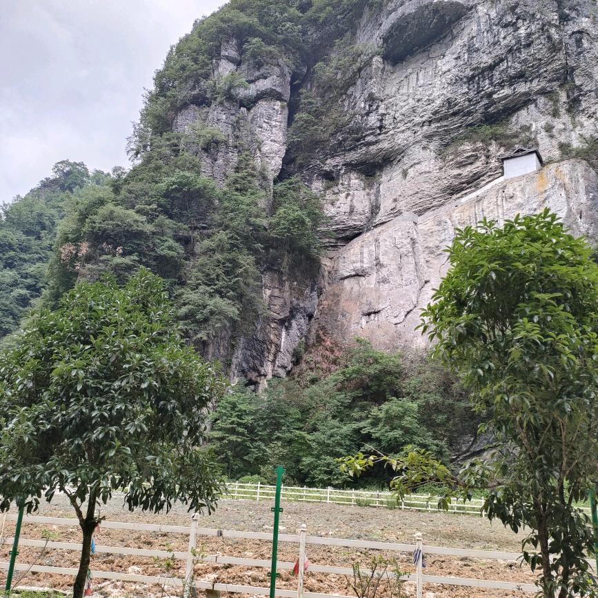 峰哥跑江湖