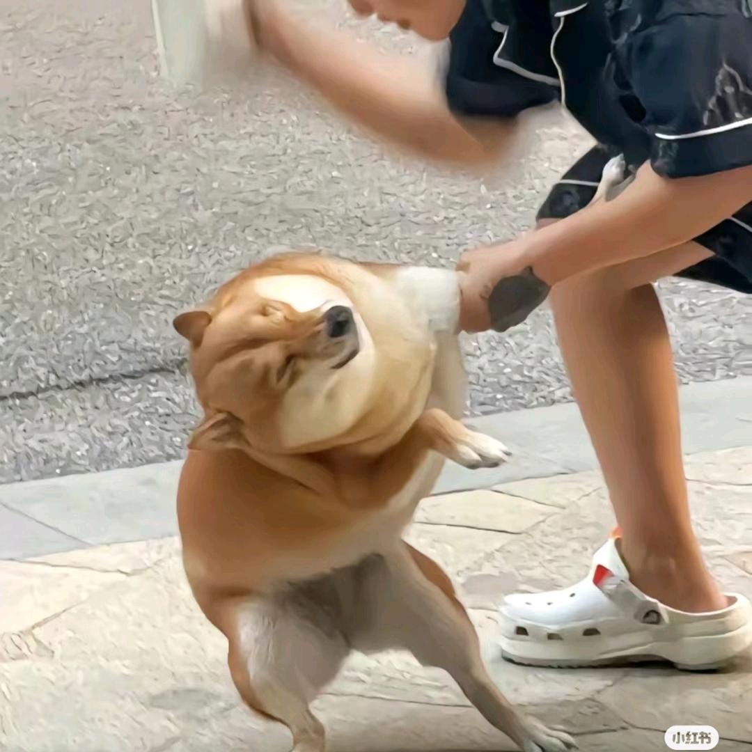 超级派大星