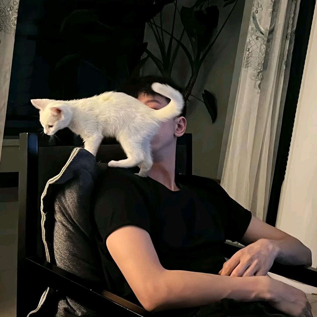 林.