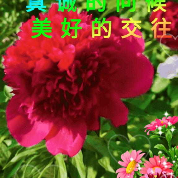 忘记从前从新开始