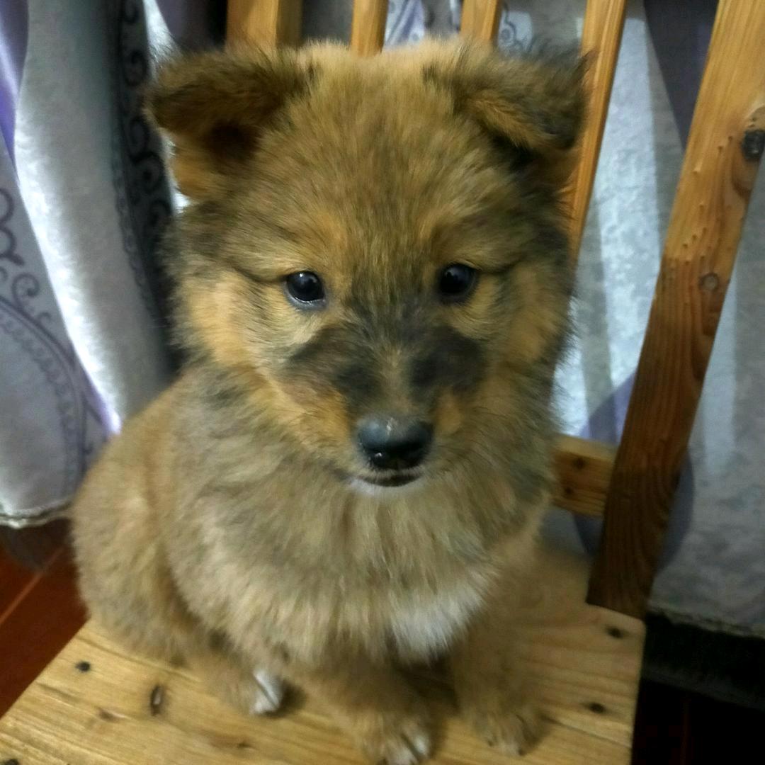 小雨点