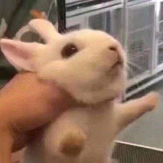 好事🥜