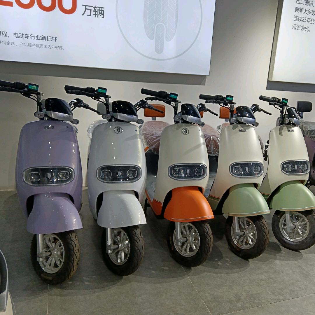 欧派电动车  樊相店