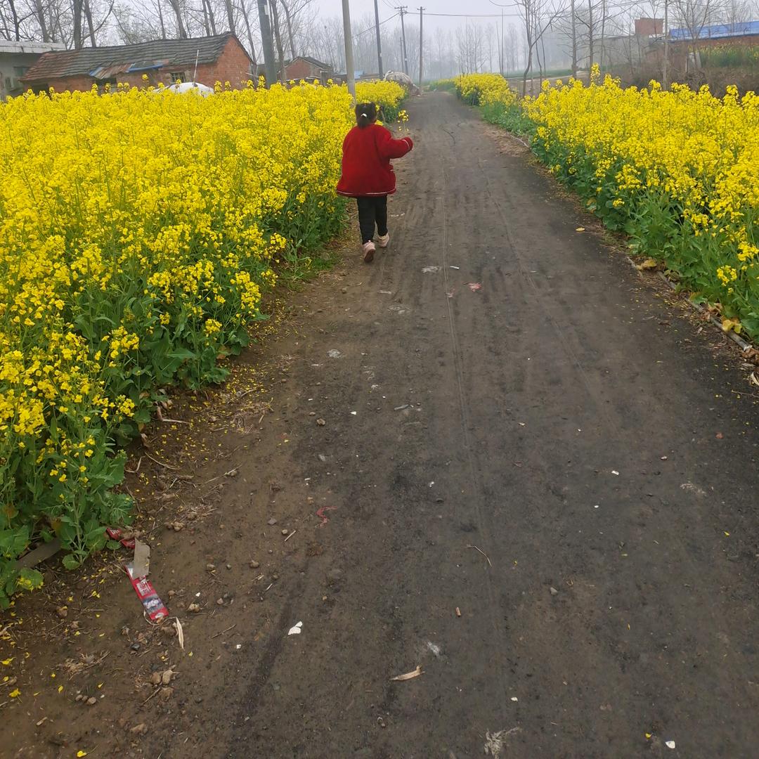 三个孩子的妈妈