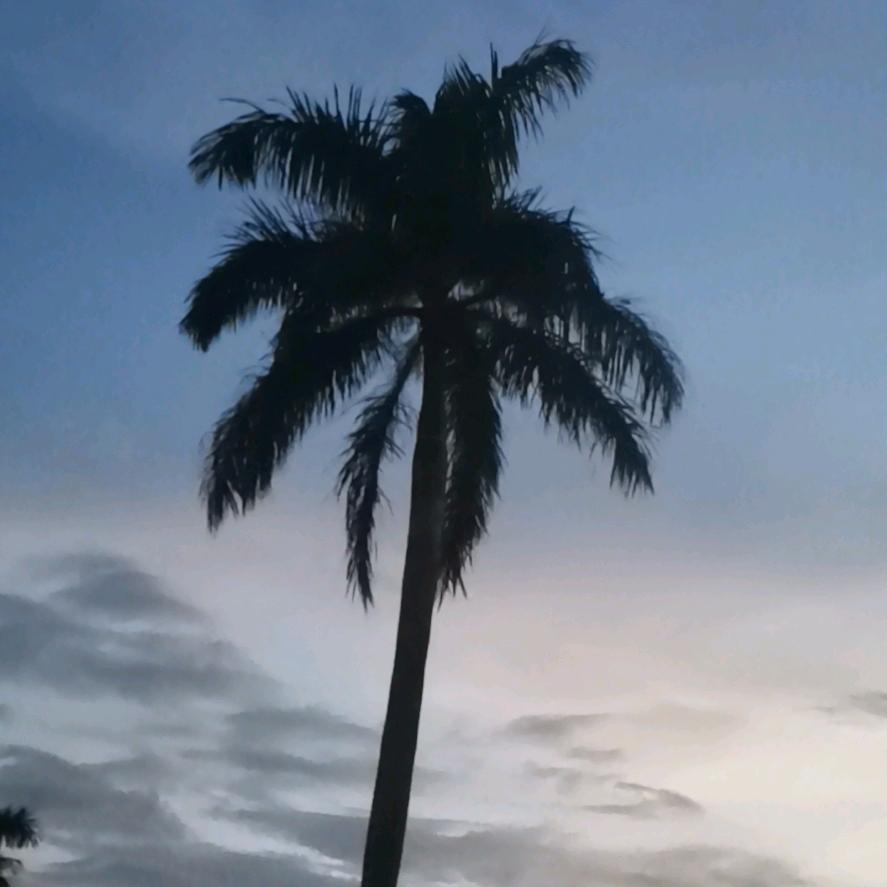 等到天蓝在看海