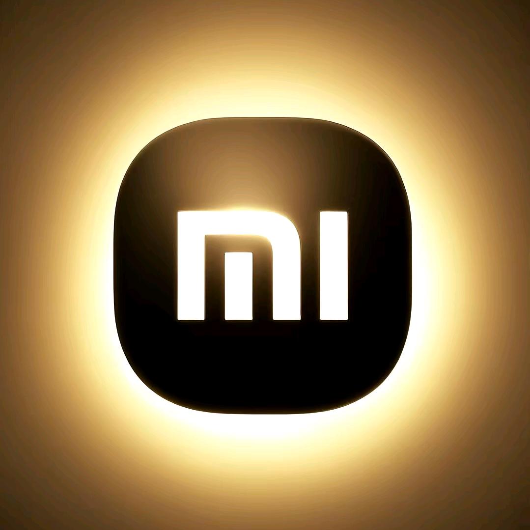 东营黄河路百大小米