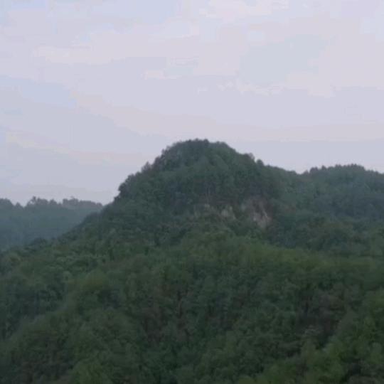 龙氏文化