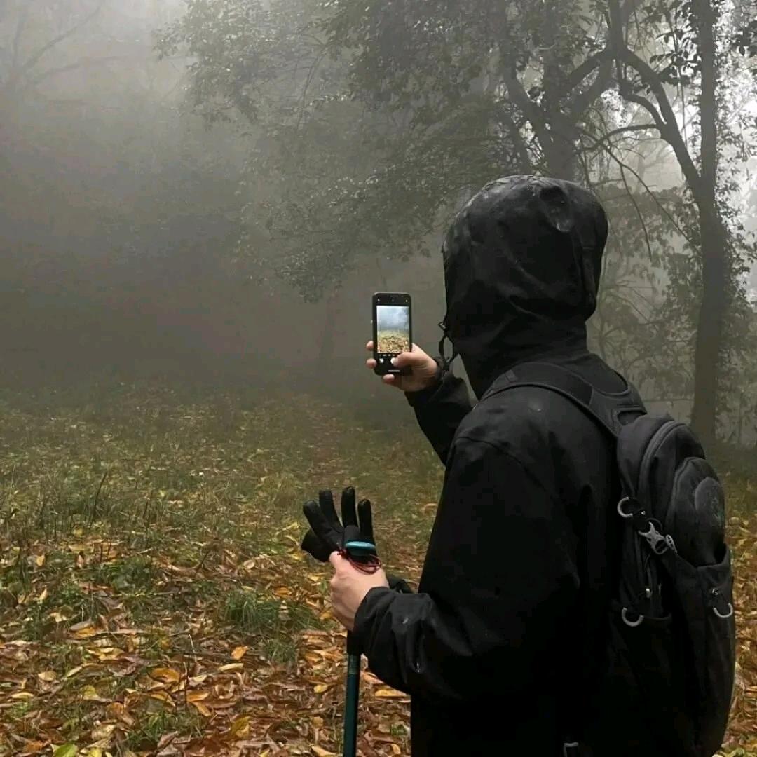 🇵🇸LLLLLLLLLL🇵🇸