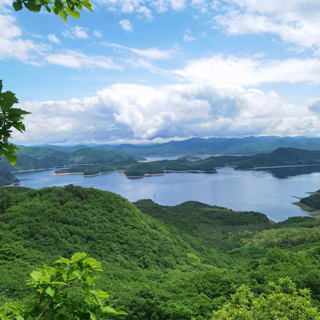 哭土豆鸡块呗