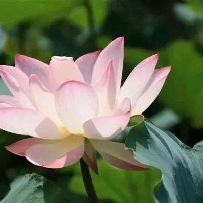 健身运动器材甄选