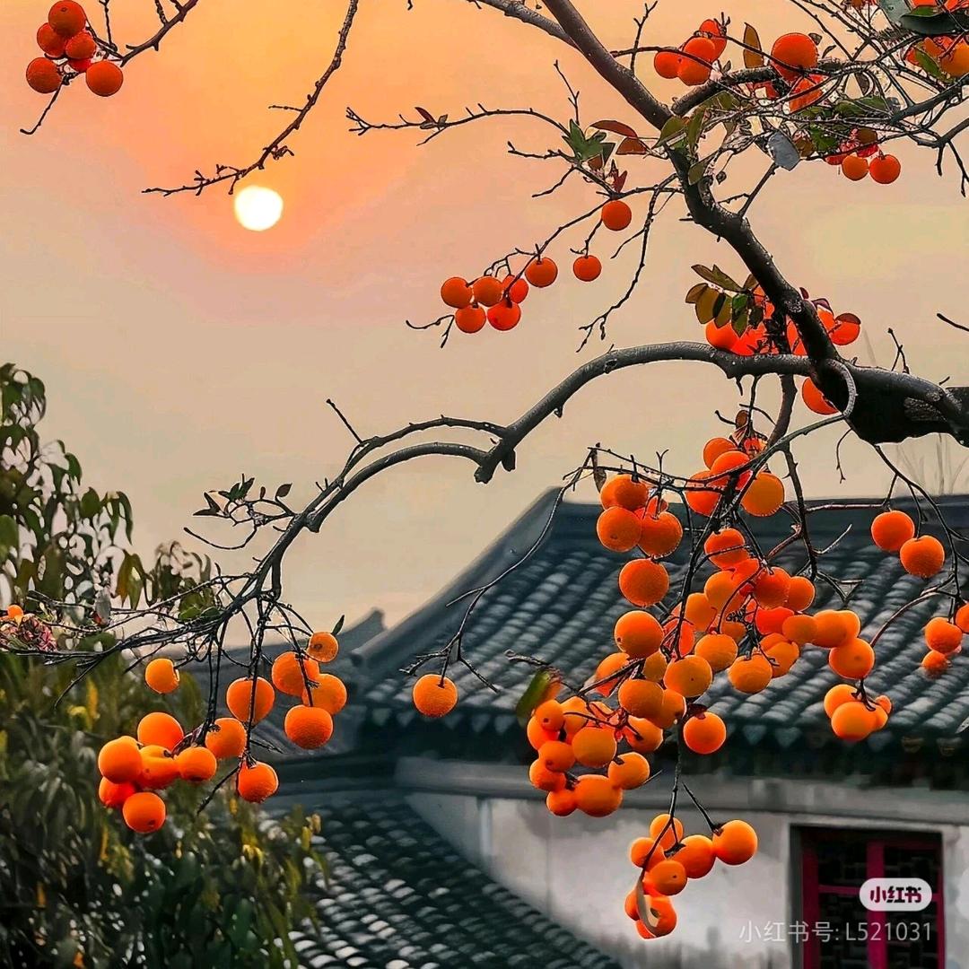 代打☎电话 留言(保密)