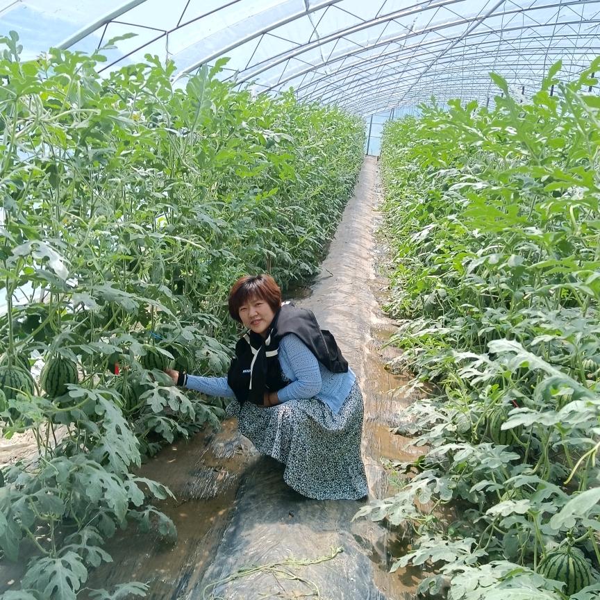 河南北漂
