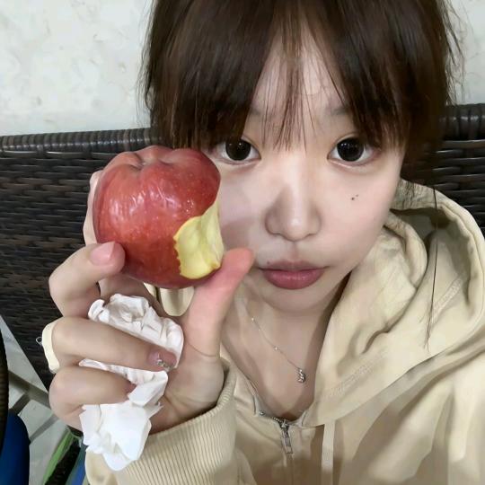 成都莱欧瑞商贸有限公司橘子