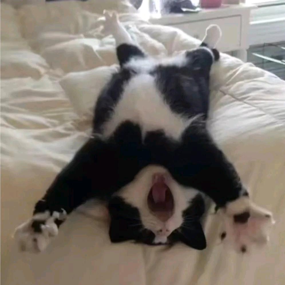 橙汁儿.