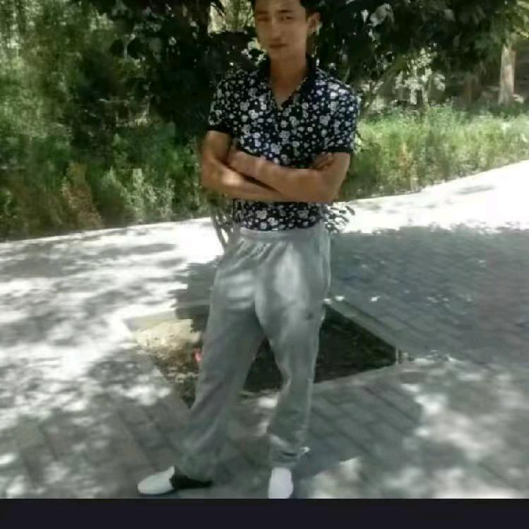龙龙