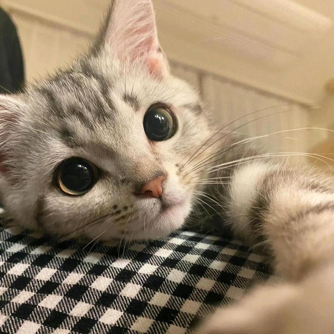 睡不饱
