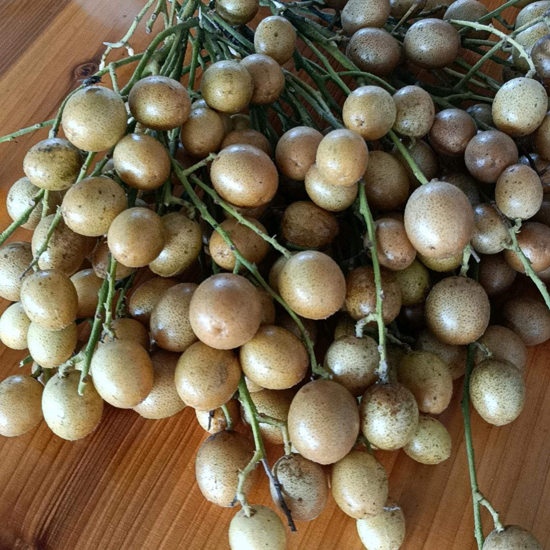 ꧁༄旗開得胜࿐꧂