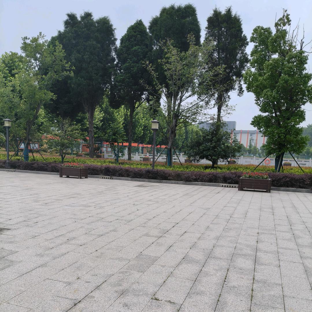 明德升学陆老师