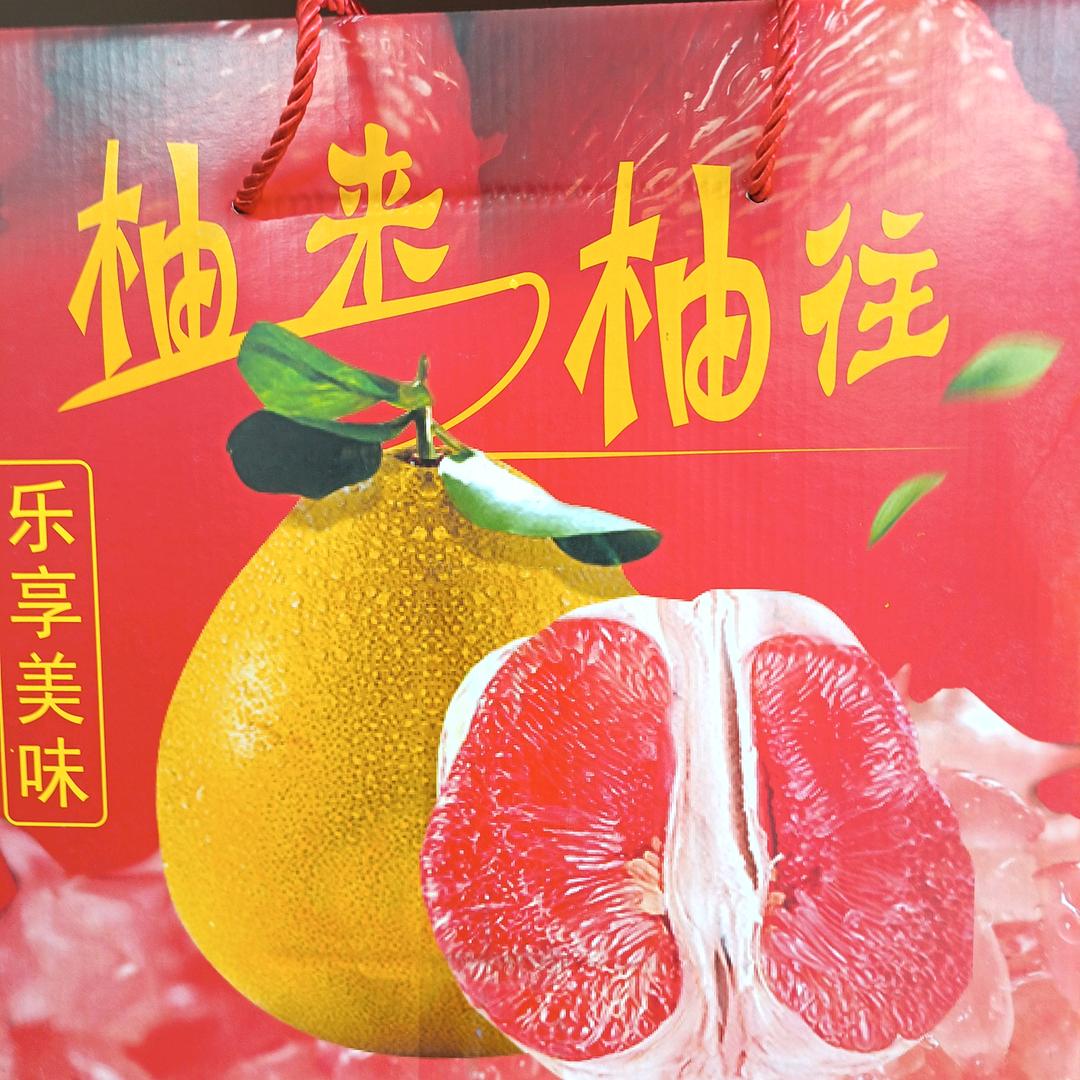 森之海