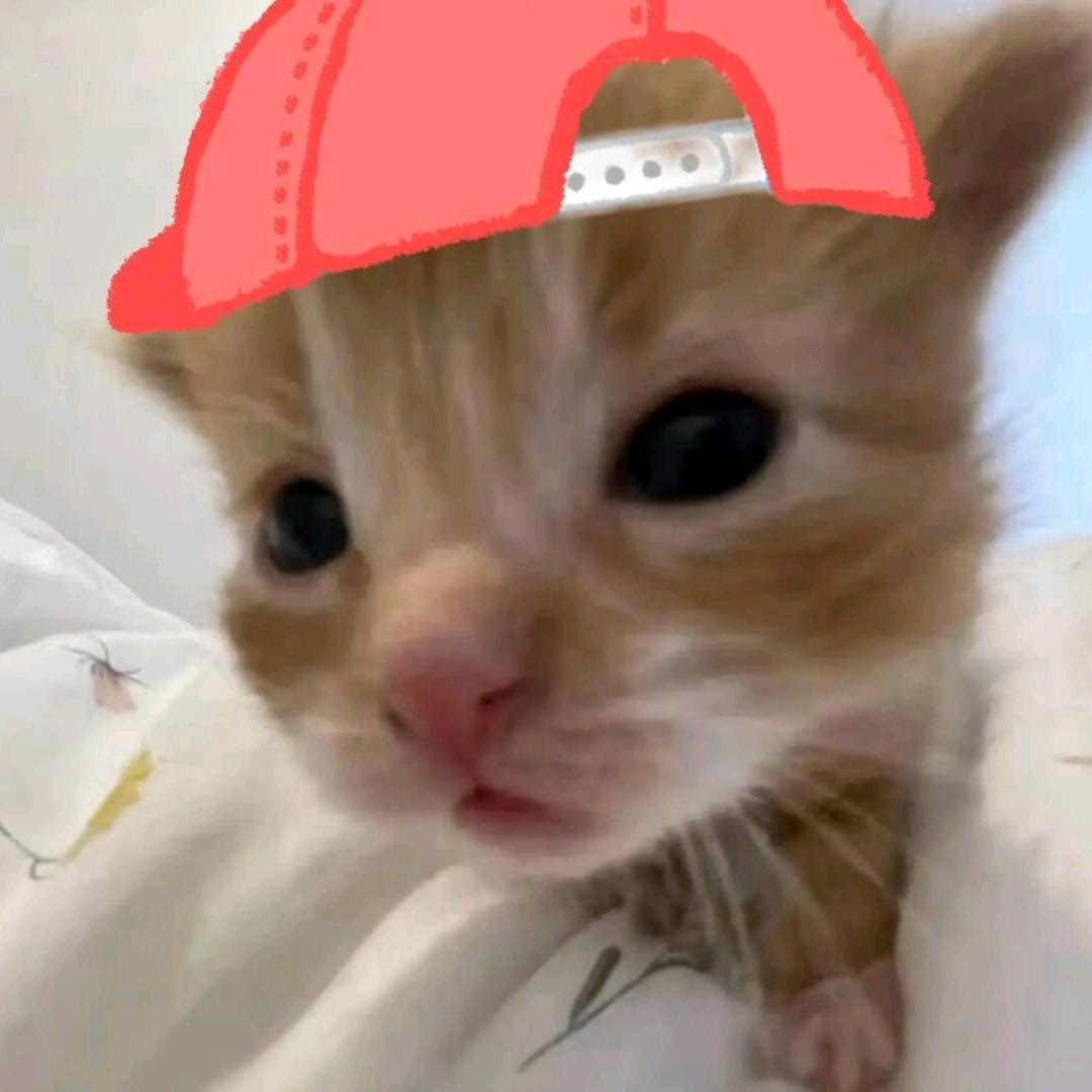 😄·☁🍒