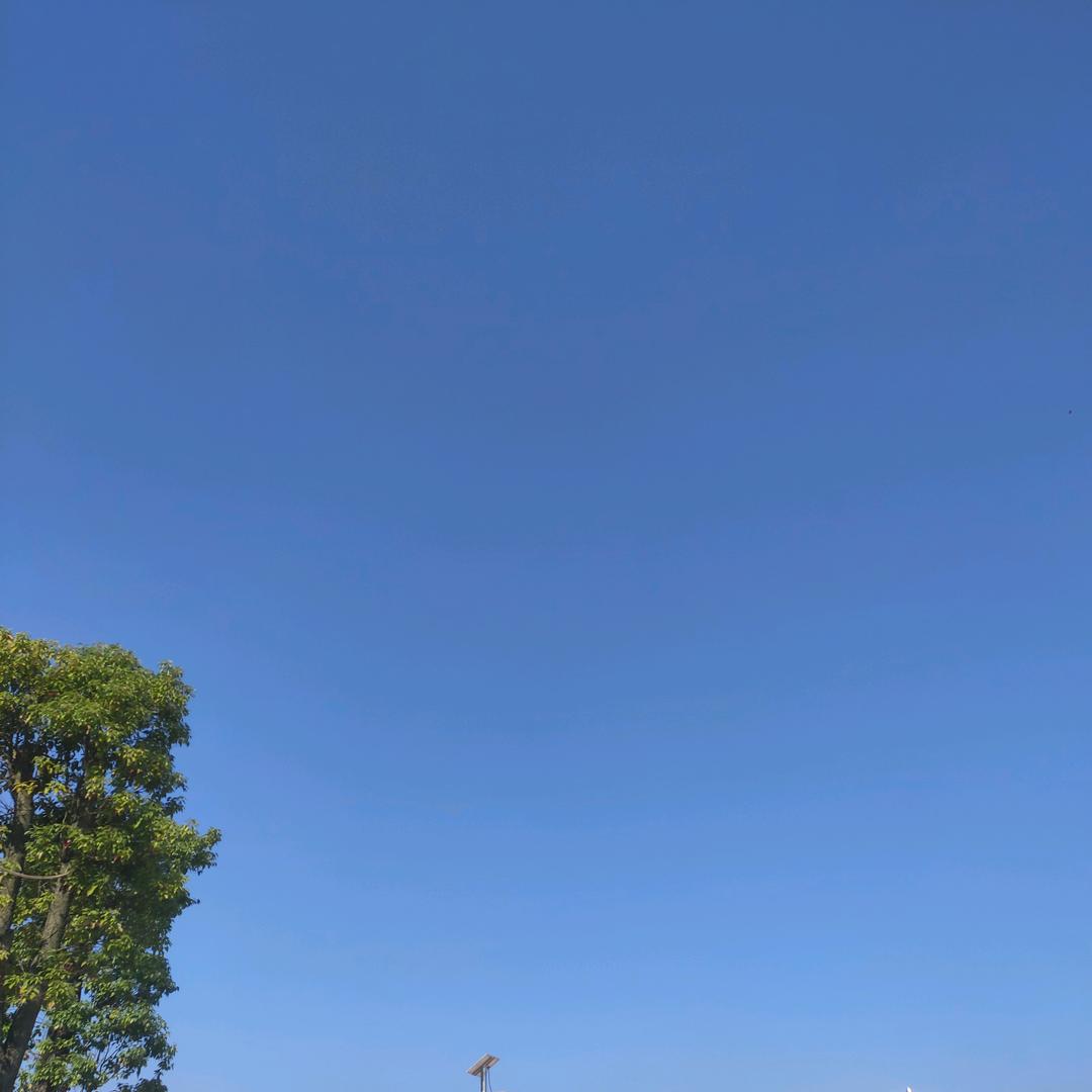 ……