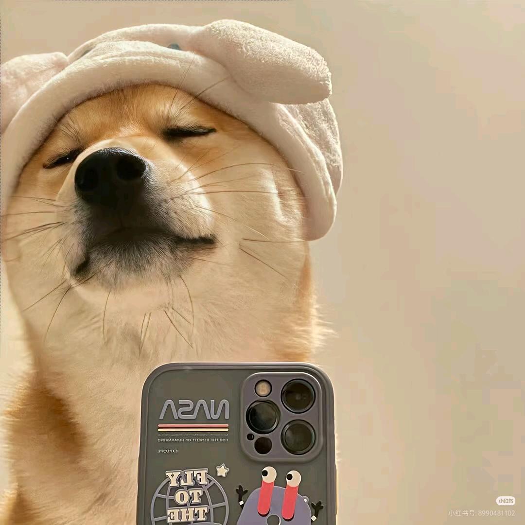 張𝒵𝒽𝒶𝓃ℊ