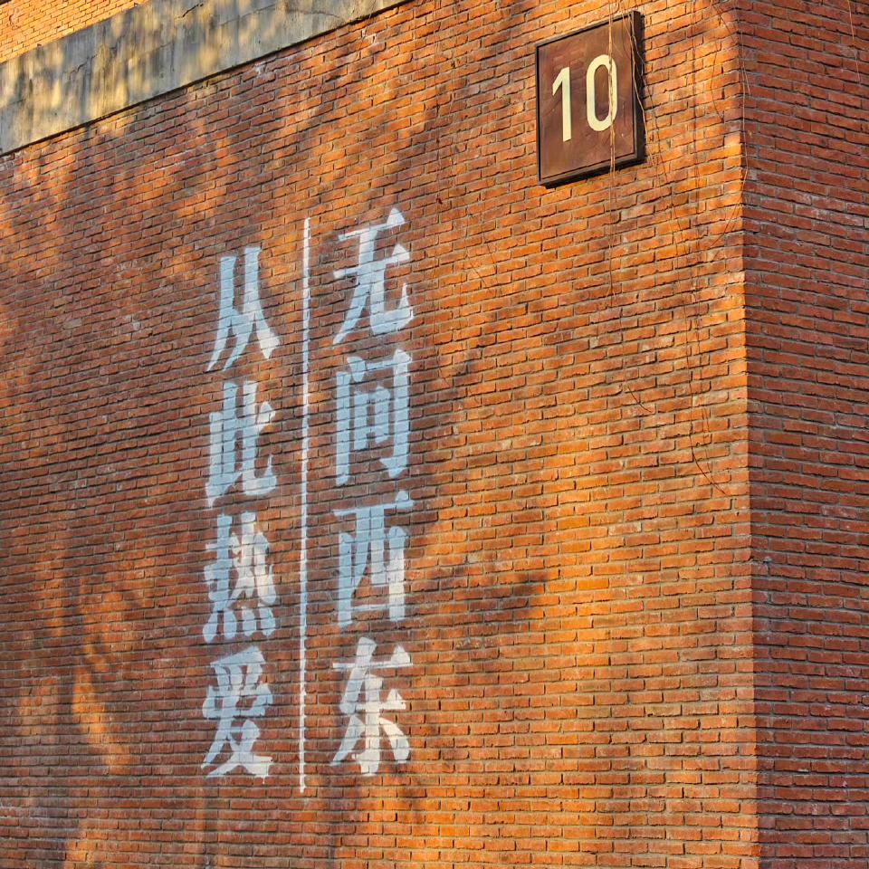 爱地瓜的胖土豆