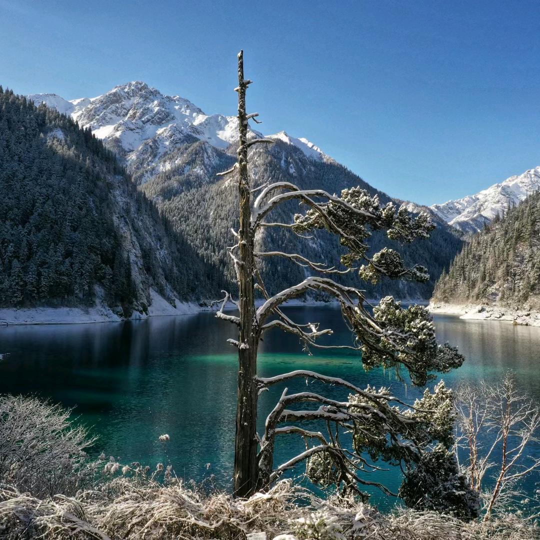 九寨沟景区门口票务咨询