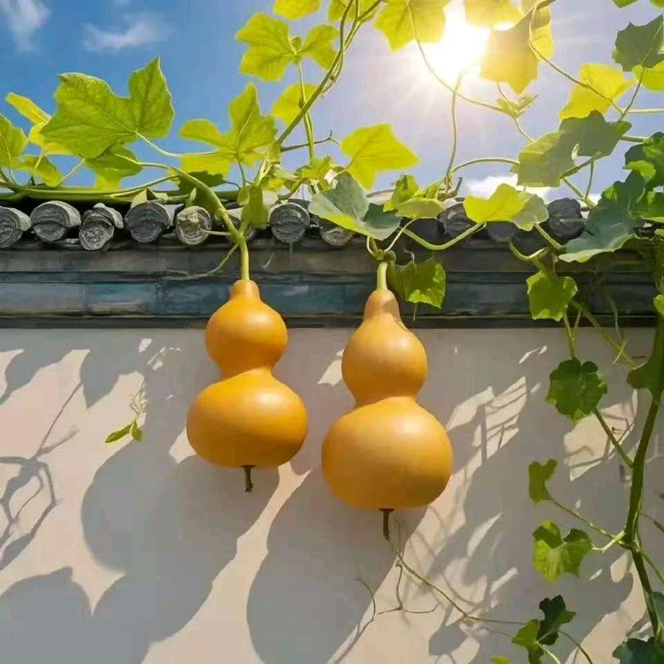 农村🍁大当家