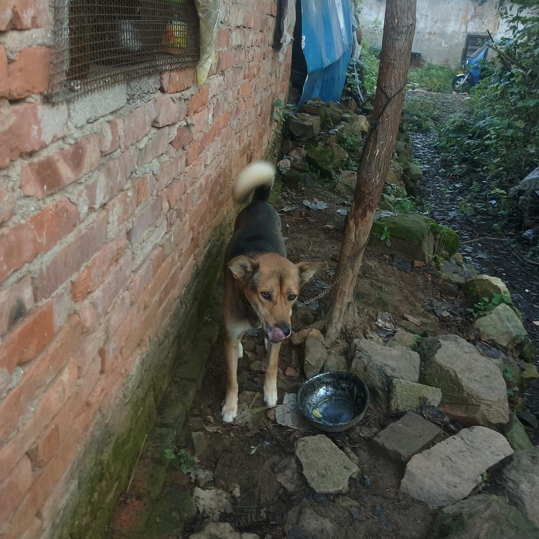 3户59廖进才待，，77048703