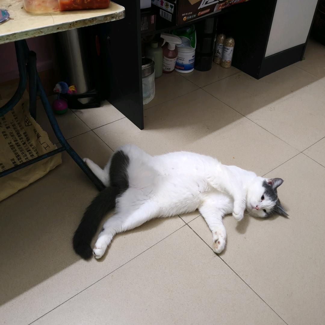 东杰