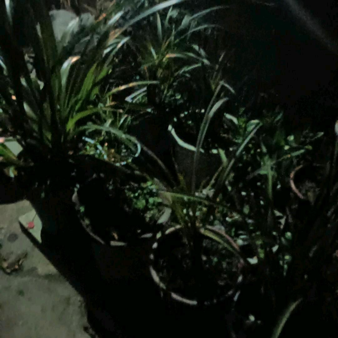 我的人？