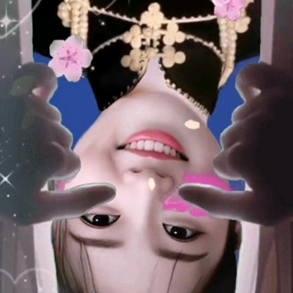 毛毛虫💁