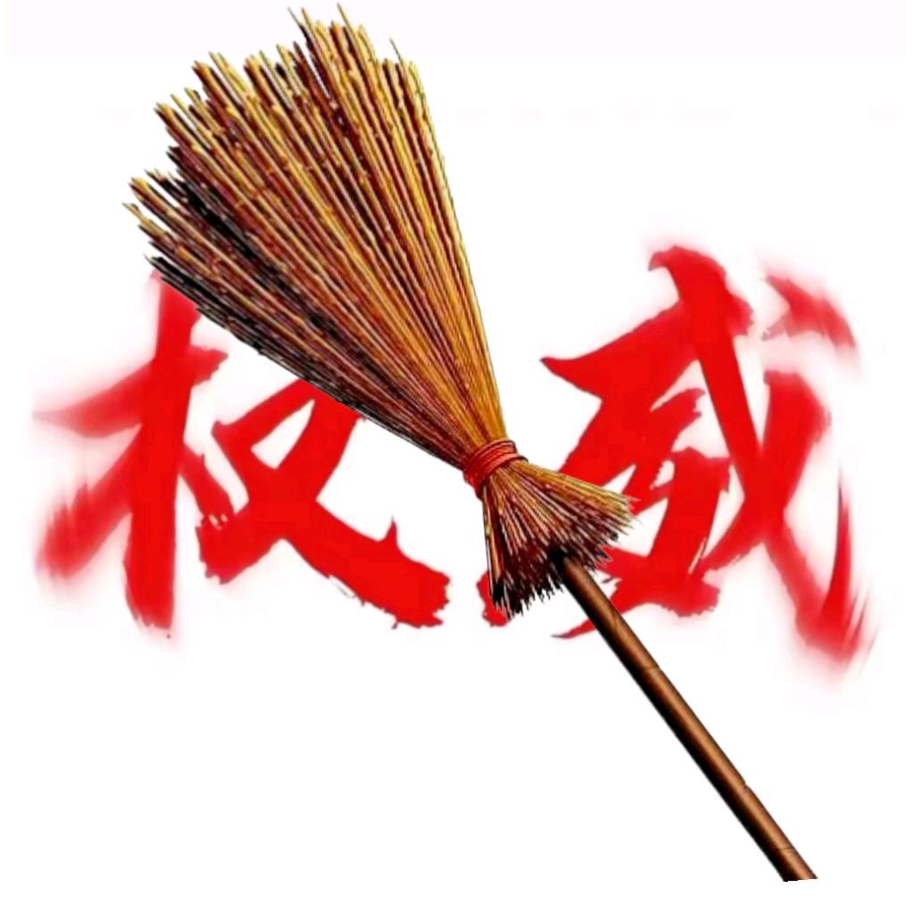 我庄严宣誓我不干好事