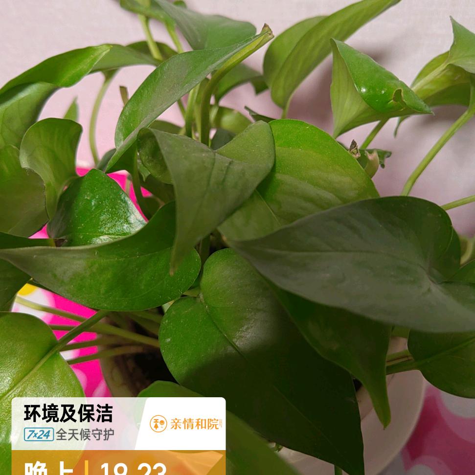 我是你姐