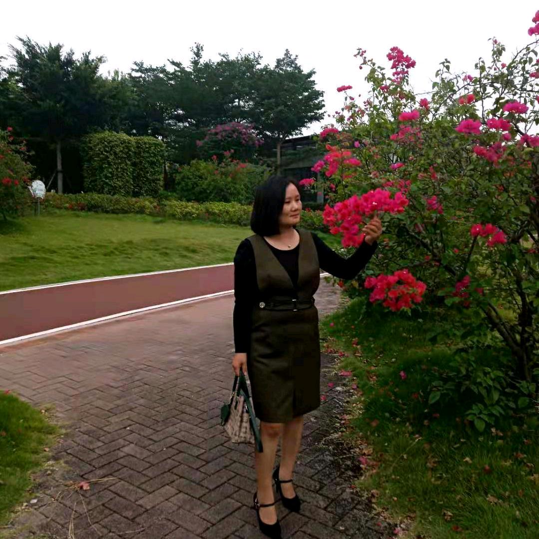 阿华……坐飞机去看蚊子