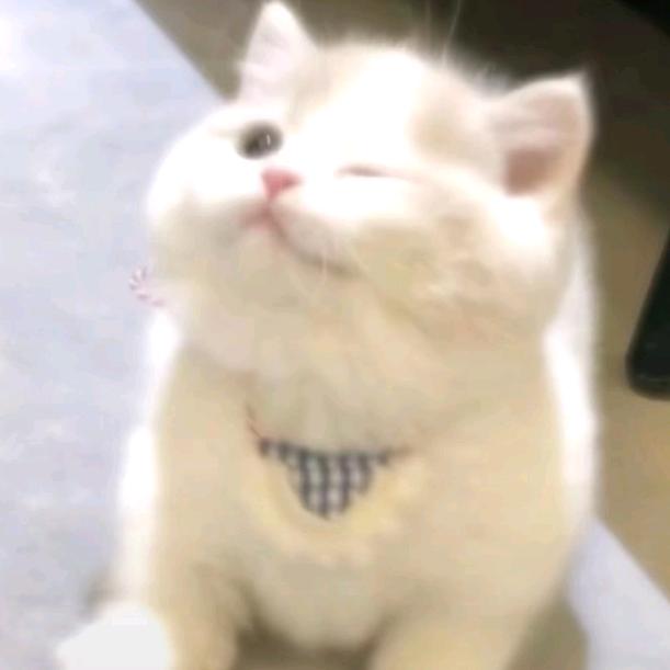 颜希