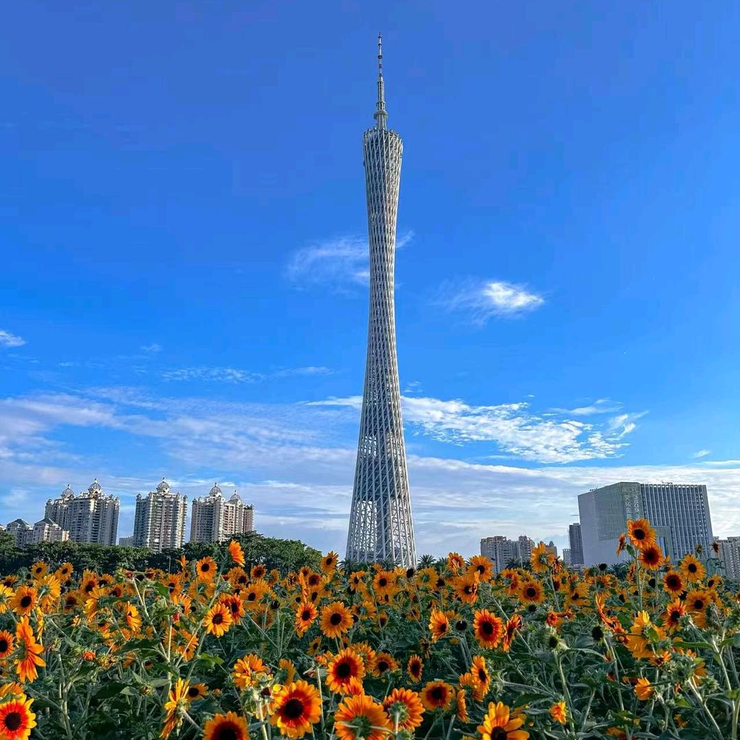 大广土特产