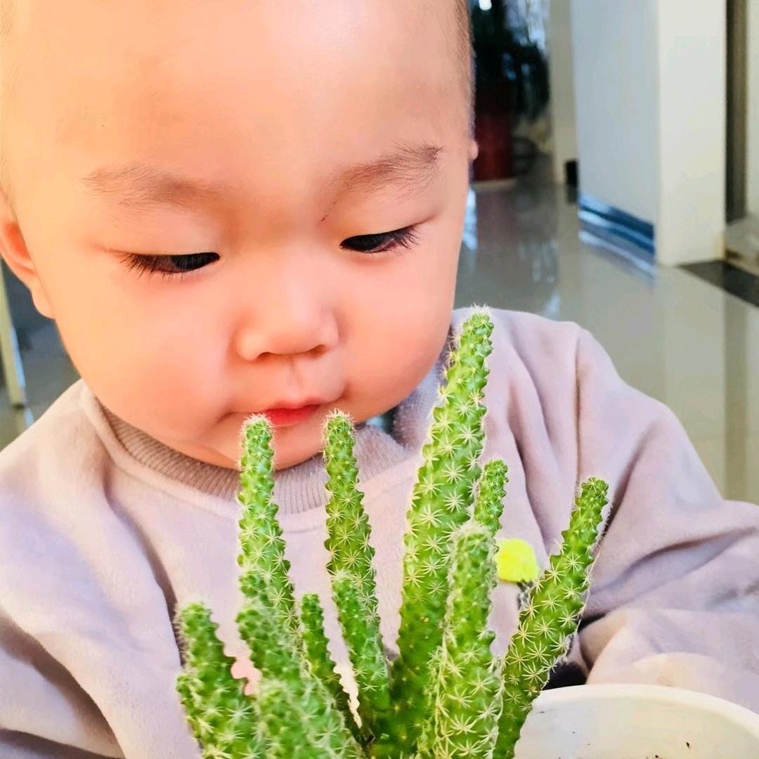 小盟仔仔