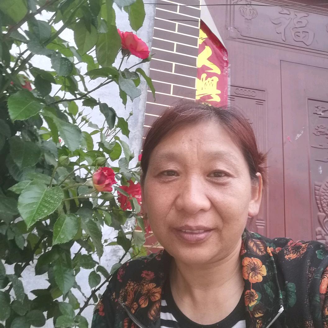 玫瑰花