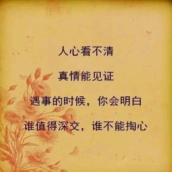 橘子花开《橱窗有好物》